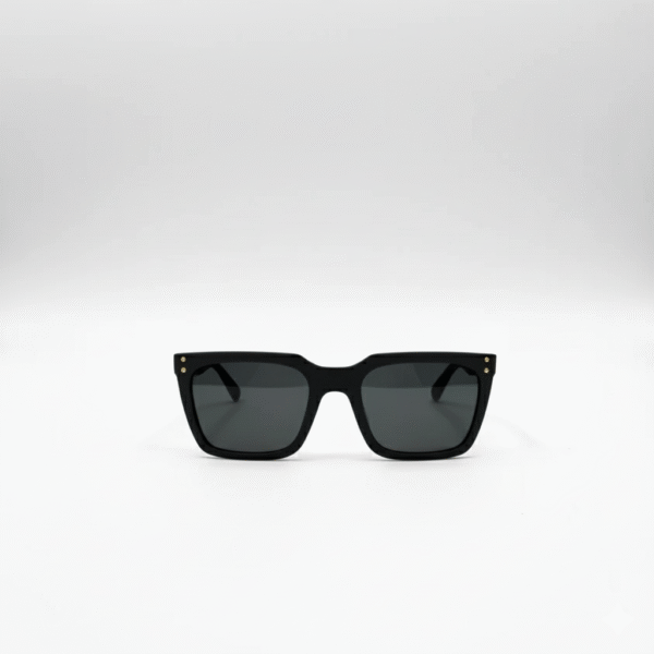 Men's Premium Sunglasss